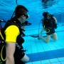 Podstawowy Kurs Nurkowania PADI Open Water Diver