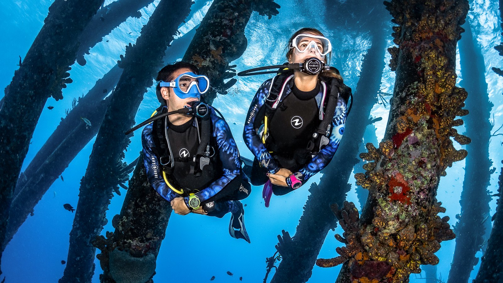 PADI Open Water Diver